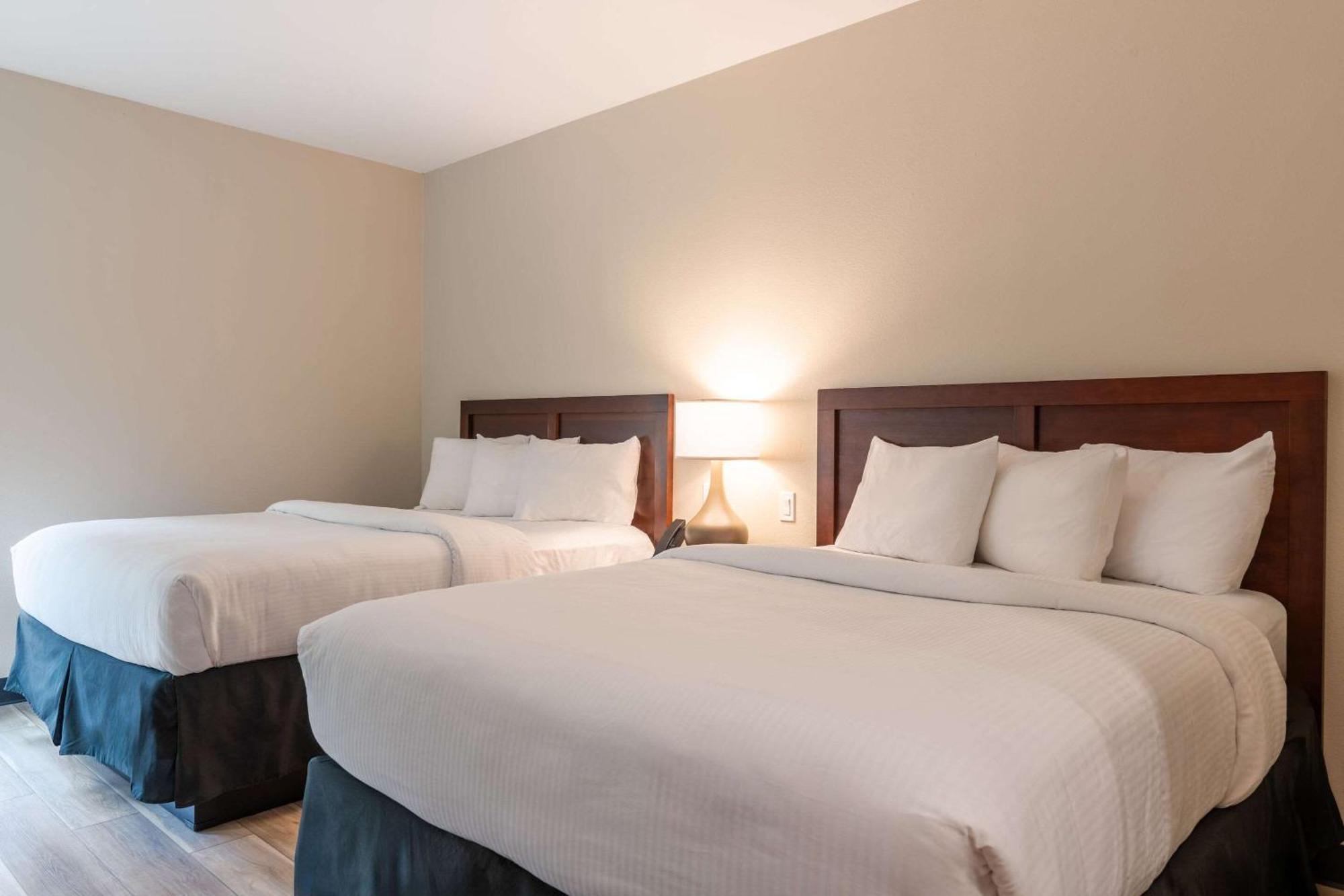The Chandler At White Mountains, An Ascend Hotel Collection Membe Bethlehem Eksteriør bilde